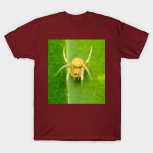 A yellow spider, maybe an orb-weaver? T-Shirt